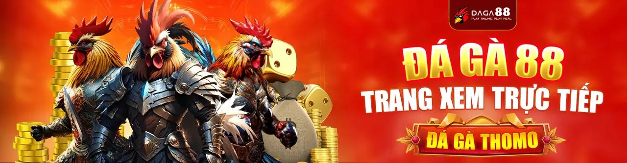 Đá gà trực tuyến MV9BET với trận đấu kịch tính